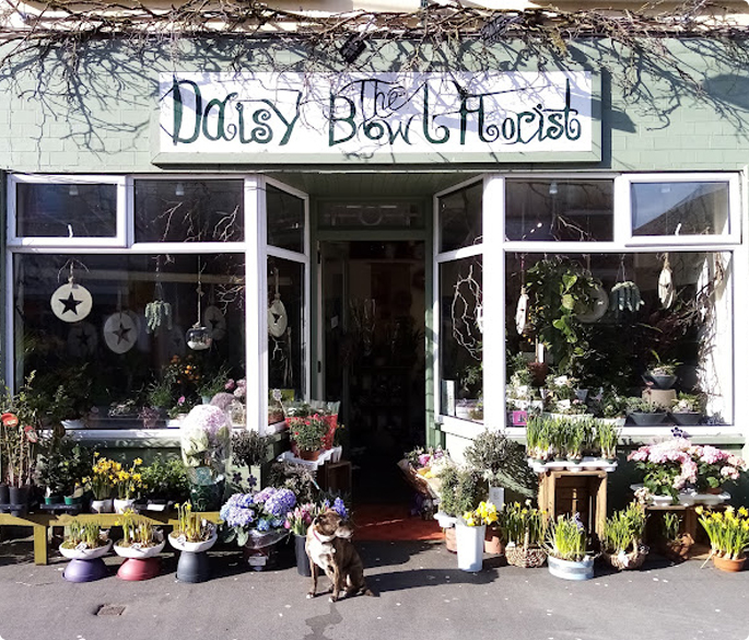 Daisy Bowl Florist Flower Shop