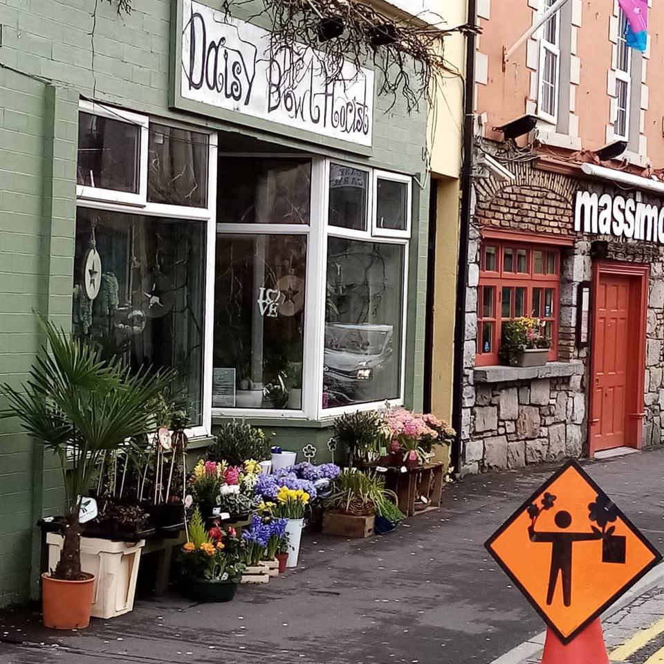 Daisy Bowl Florist Flower Shop