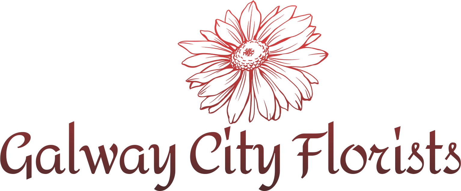 Galway City Florists
